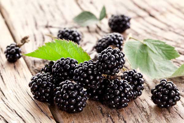 blackberry2.jpg