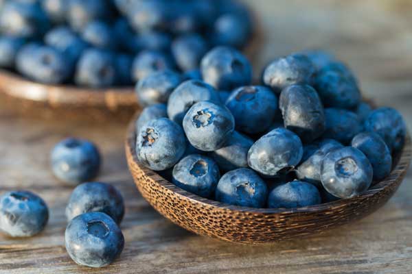 blueberries2.jpg